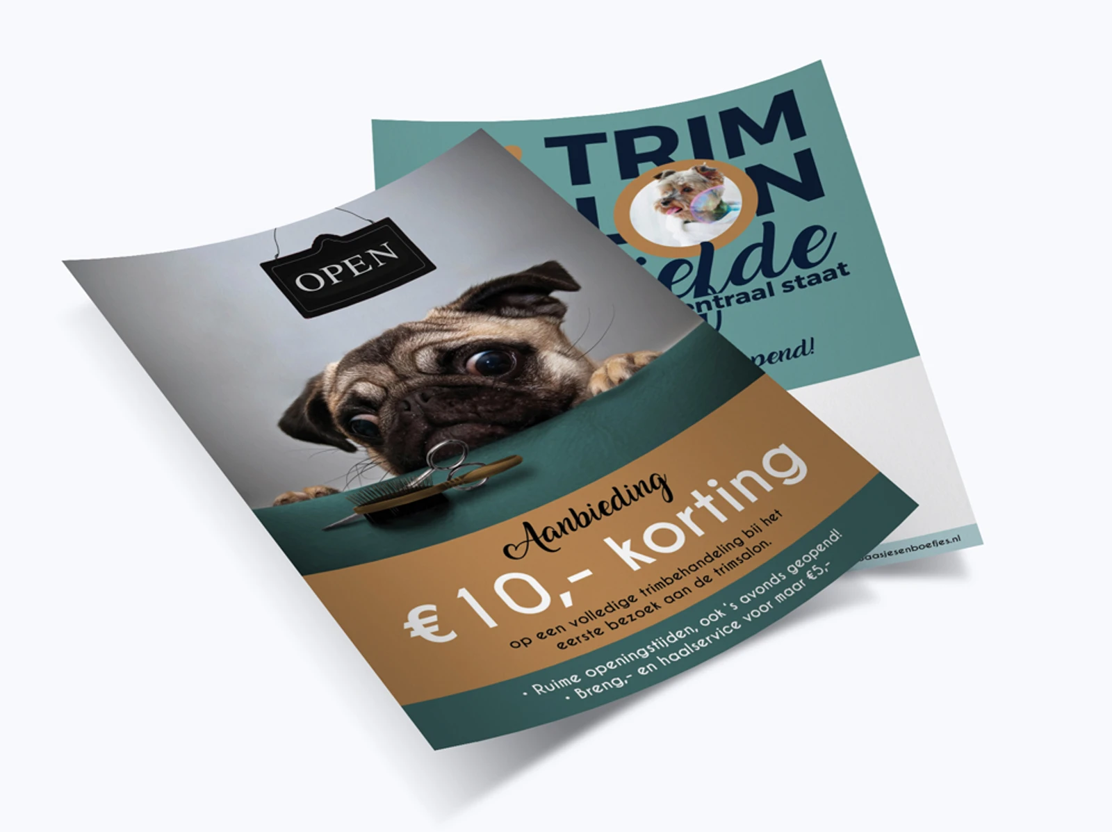 Flyer Baas en Boefjes